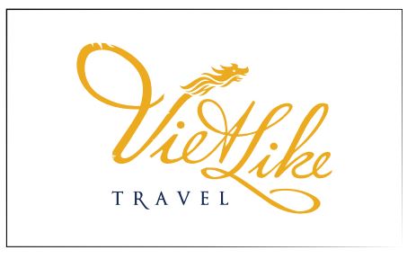 thiết kế logo thiết kế logo