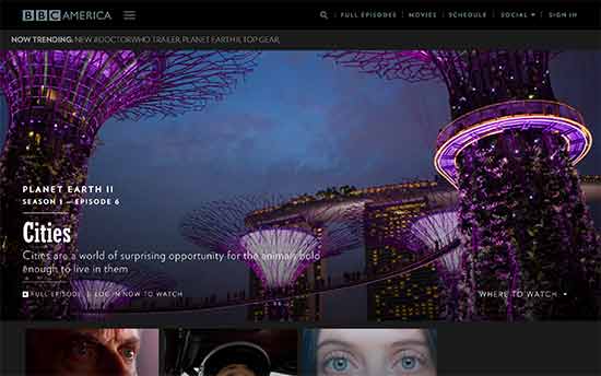 thiet ke website bang wordpress thiet ke website bang wordpress